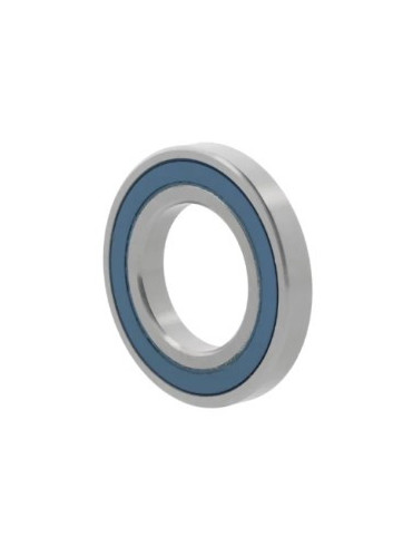 61806 2RS-ZEN