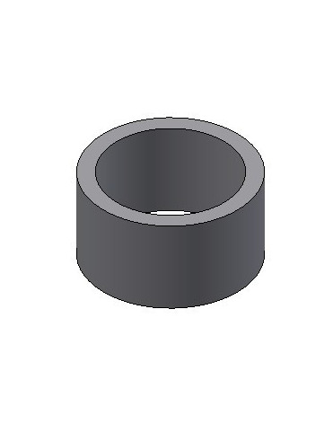 01-17-RS